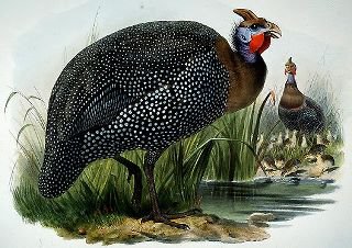 395603_138977432890238_592839327_n